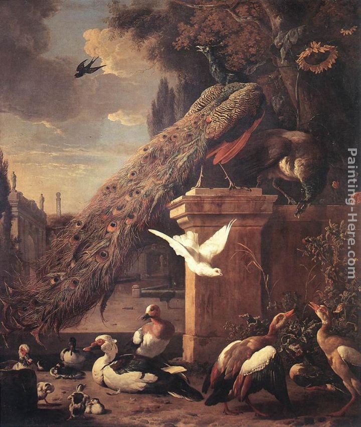Melchior de Hondecoeter Peacocks and Ducks